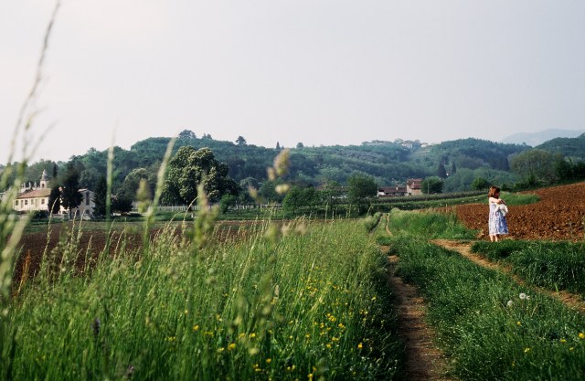 At the villa, summer