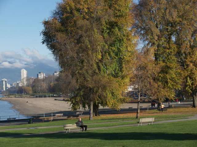Kits Beach in the fall