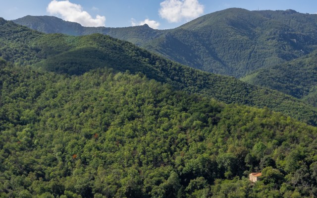 On the road to Fontfréde, Céret